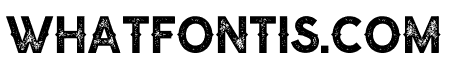 Nuevo Stamp