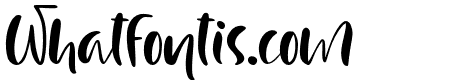 JustCaseRegular