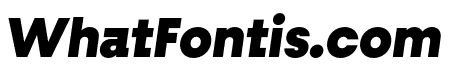 Fractul Black Italic