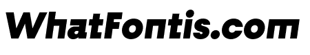 Fractul Alt Black Italic