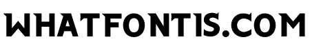 Transyl Bold