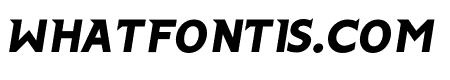 Transyl Bold Italic