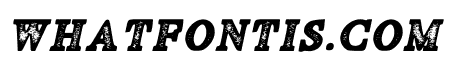 Fiber Stamp Italic