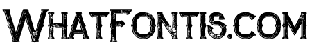 Zalora Inline Bold Grunge