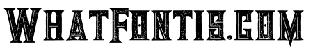 Giant Bold Inline Grunge