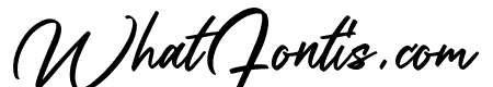 Nedilan Script