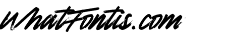 Amnesty Script