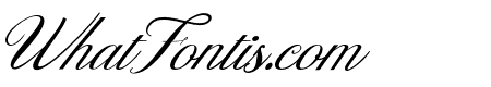 Designest