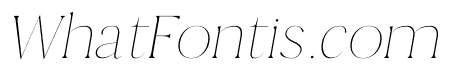 Thomas Mag Thin Italic