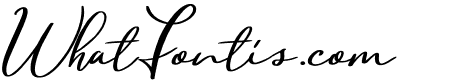 Balony Script