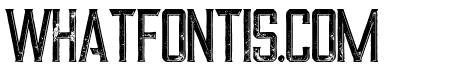 Alter Inline Grunge