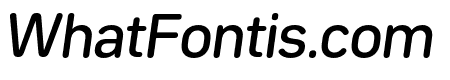 Bw Seido Round Medium Italic