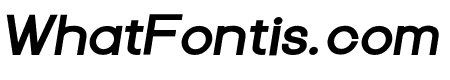 Focus Grotesk Heavy Italic