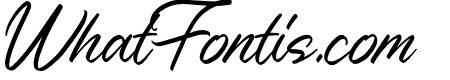 Nerfia Script Regular