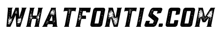 Posey Textured Italic