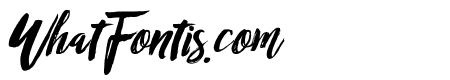 RofiTaste-Italic