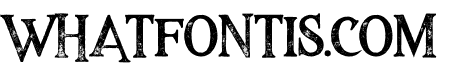 Majestic Black Grunge