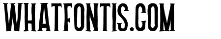 Holiday Serif Regular