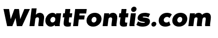 Noir Pro Bold Italic