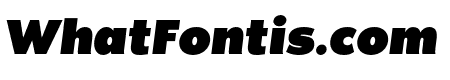 Noir Pro Heavy Italic