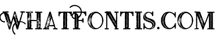 Monophoneboldinlinegrunge