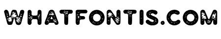 Marison Sans Vintage