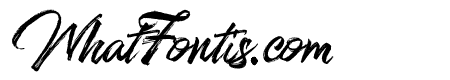 Stereohead Brush Vector Regular