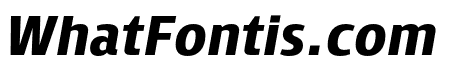 Skrinia Black Italic
