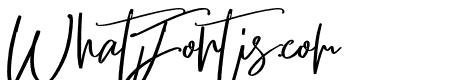 Bliss Script Stylist Bold