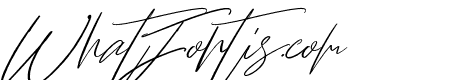 Bliss Script Stylist 2
