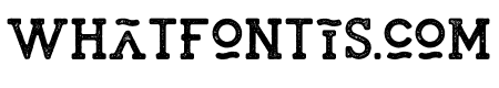 SAILOR ROUGH Bold