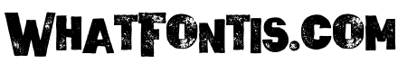 Wagoon Bold Grunge