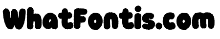 Knicknack Fuzzy Bold
