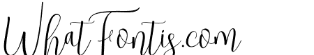 Trendy Script