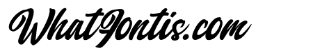 Qintan Script Regular