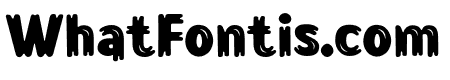 Lonkie Brush-Bold