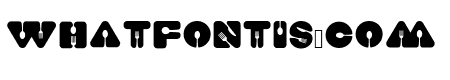 Food Craft Regular