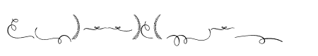 Platipus Ornaments