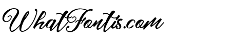 ZaillaScript