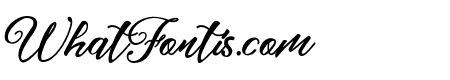 Zailla Script