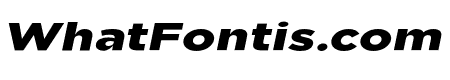 Uniclo Black Italic
