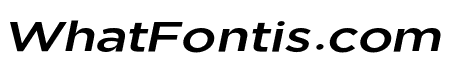 Uniclo Medium Italic