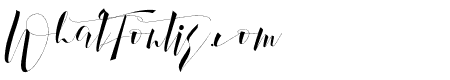 Boutique paris 2