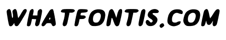 Wolfer Italic
