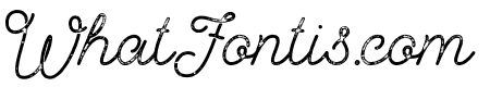 Palm Beach Script Rough