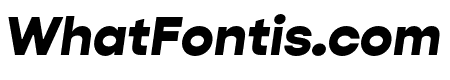 Gopher Text Black Italic