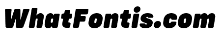 Config Rounded Black Italic