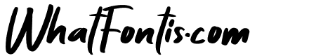 Zaitun Italic