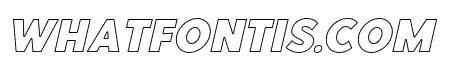 PointPantherOutline-BoldObliq