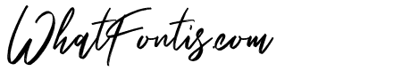 Saintrop Basic Basic